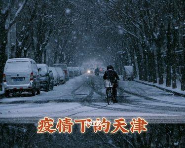 雪夜落幕结局