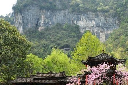 天津桃花源是几a景区