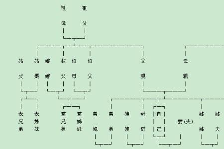 表嫂子的爸妈应该叫什么称呼