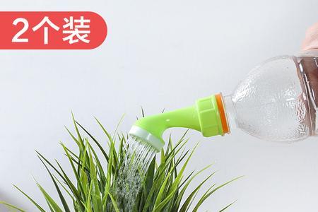 带吸水棉的鲜花怎么浇水