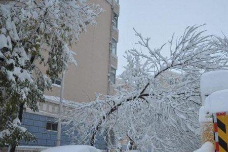 30毫米降雪啥意思