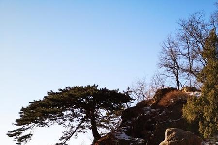 泰山上香需要花钱吗