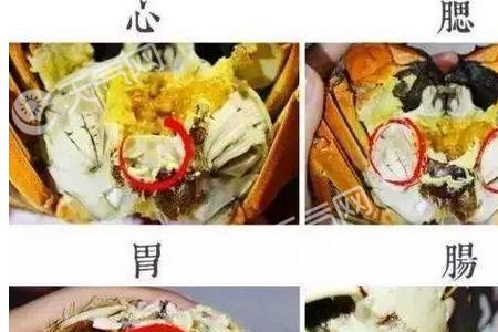 为什么公蟹没有白膏