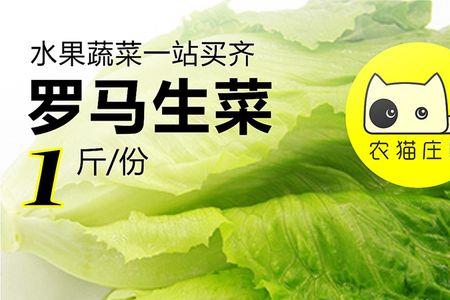 包罗生菜跟罗马生菜怎么区分