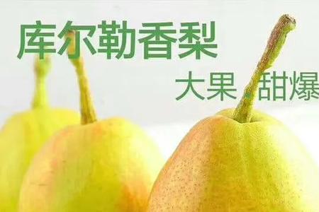 香梨几个一斤