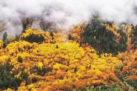 驼梁风景区门票需要身份证吗