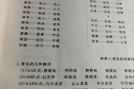 和自以为是相近的词语