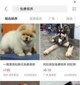 为什么闲鱼里的宠物都那么便宜