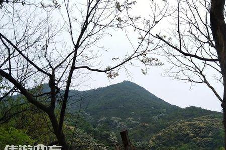 长安莲花山几点开门