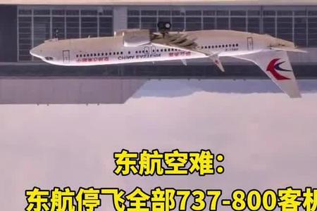 东方航空73H可以乘坐多少人