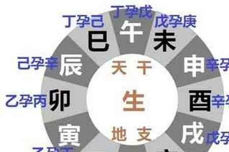 申子辰什么意思