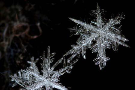 空中的水气是怎样变成雪花的