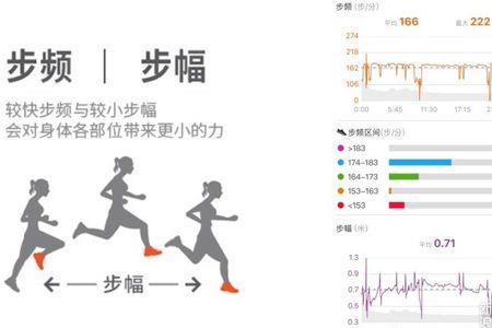 十公里长跑步频和步幅