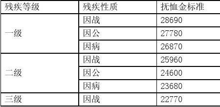 残疾人的级别1级和9级哪个高