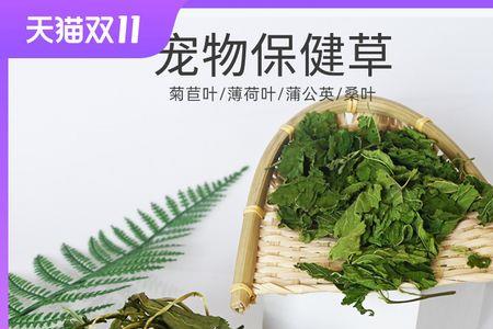 兔薄荷是什么