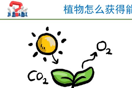 节能灯的光能给植物光合作用吗