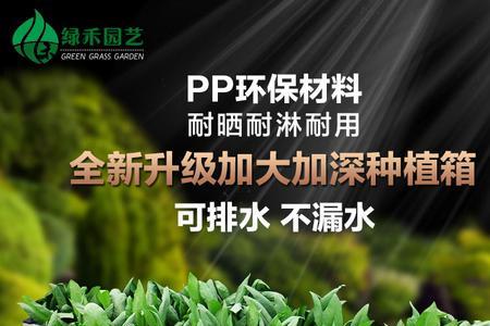 塑料种菜箱有毒吗