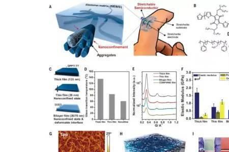 什么是世界上第一高分子材料