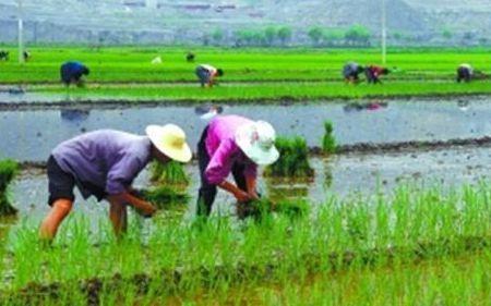 田家四时意思