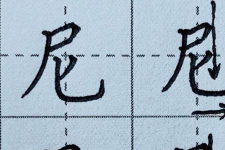 尸字底下一个阿念啥