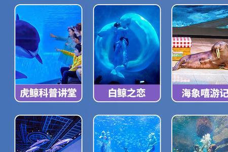 上海海昌海洋公园必带东西