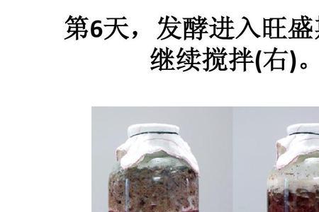 自制葡萄酒冷藏还是常温发酵好