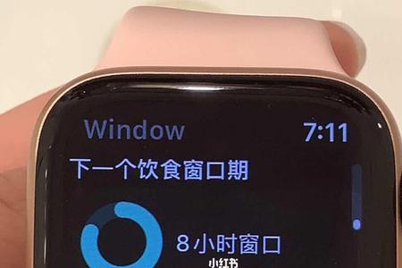 apple watch se可以通话吗