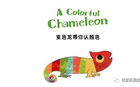 colorff是什么颜色