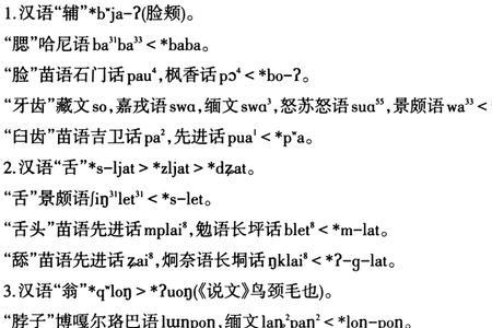 缅语和汉语相似吗