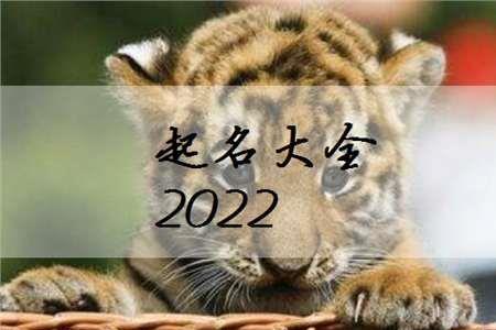 2022属什么生肖虎