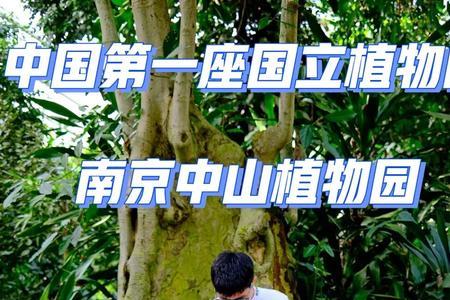 南京中山植物园60岁以上免费吗