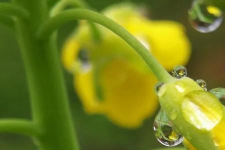 春风化雨万物峥嵘什么意思