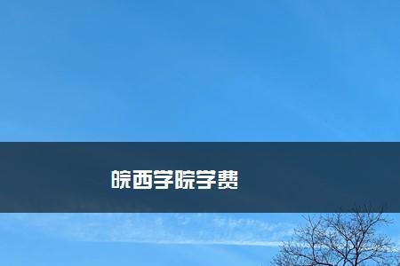 皖西学院学费价目表