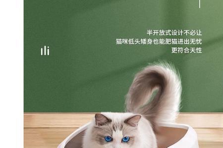 全封闭猫砂盆对猫的影响