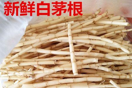 你是茅根啥意思