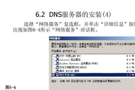 监控首选dns怎么填服务器