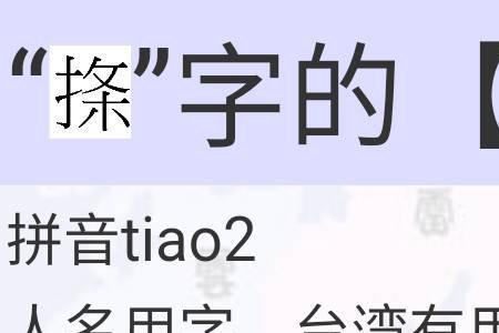 一个提手加一个无是什么字