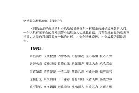 钢铁是怎样炼成的四字成语500个