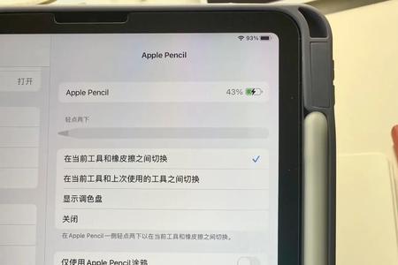 ipadair5有后置闪光灯吗