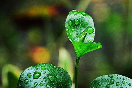 形容雨后闷热成语