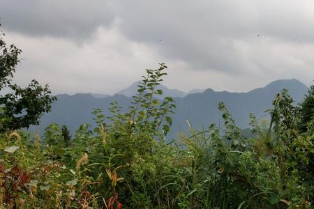 深山露宿需要什么