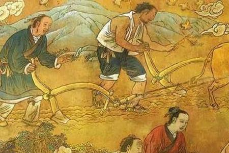 古代人的田地是怎么分的