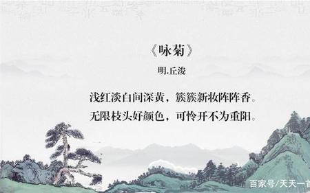 形容人白的诗句