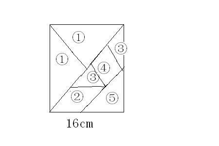 七巧板最小的正方形是5平方厘米