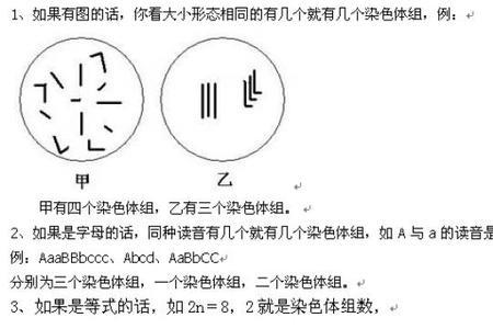 染色体组数的意思