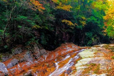 巴山大峡谷和光雾山哪个好玩