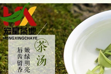 清安白茶属于什么茶