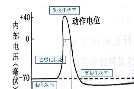 超射和反极化有什么区别