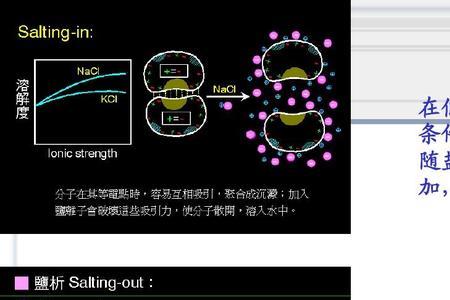 纯化胆汁盐是什么