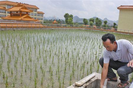 带田水地偏旁的字